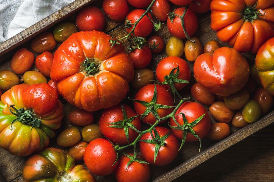 Pomidory - właściwości i zastosowanie w kuchni