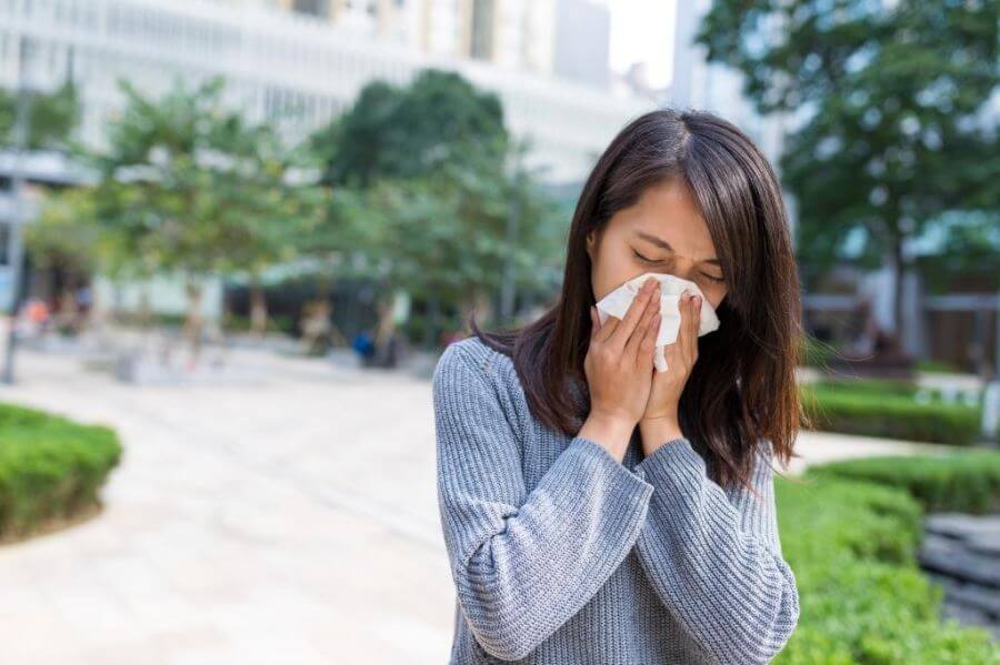 alergia na pyłki w mieście