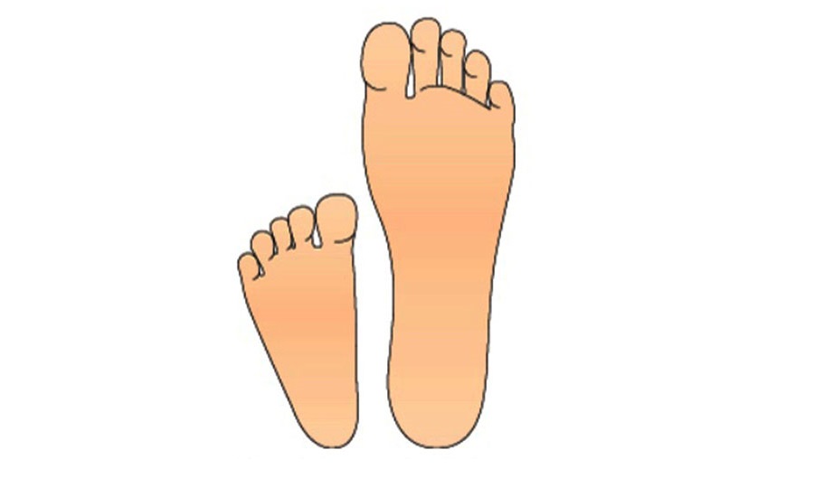 Stopa dziecka i stopa dorosłego - porównanie - Sklep z butami dla maluchów Bosa Stópka