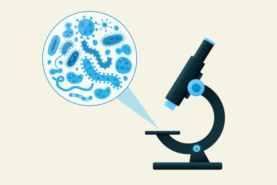 Model mikroskopu 2D i zbliżenie na bakterie i wirusy znajdujące się na szkiełku mikroskopowym.