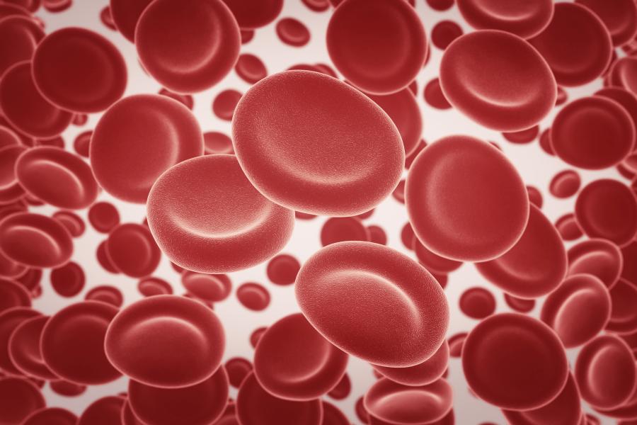 Czy grupa krwi powinna definiować naszą dietę?