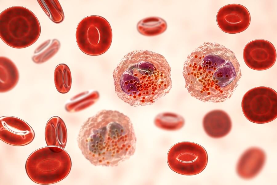 Grafika 3D, eozynofile otoczone czerwonymi krwinkami.