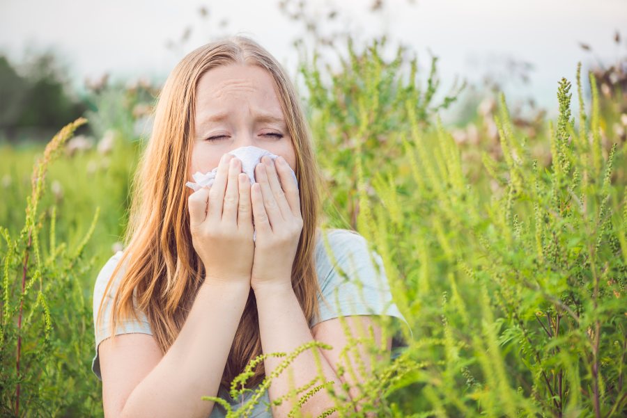 Kalendarz alergika: co pyli w lipcu?