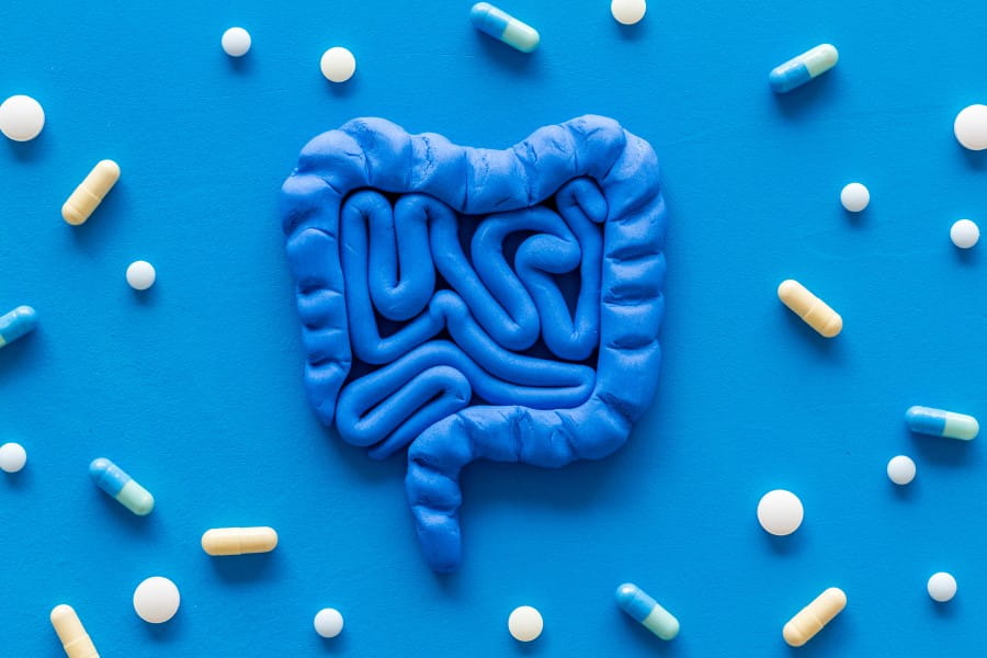 Model ludzkich jelit, wokół rozsypane kapsułki tabletki na choroby jelit.
