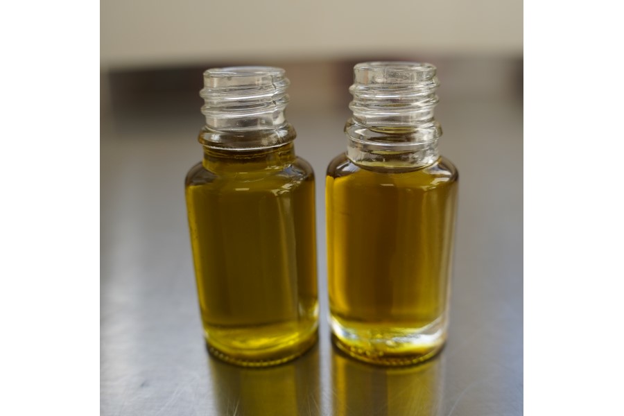 Oliwa z oliwek wydaje się idealnym nośnikiem dla lipofilnych kannabinoidów i z tego powodu często je