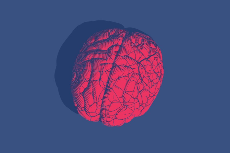 Model ludzkiego mózgu zabarwiony na czerwono, symbolizujący zapalenie opon mózgowo-rdzeniowych.
