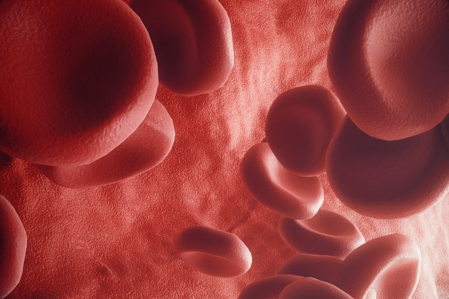 Zbliżenie na model 3D erytrocytów, czyli czerwone krwinki.