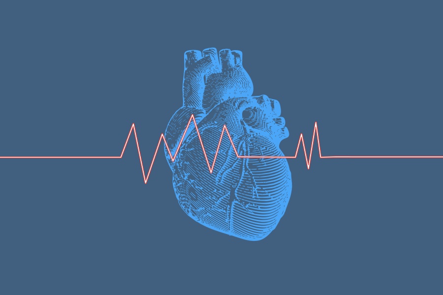 Grafika przedstawia anatomiczny rysunek serca oraz czerwoną linię ilustrującą puls