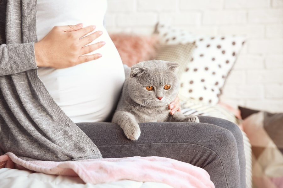 Kobieta w ciąży trzyma na kolanach kota. Czy posiadanie kota grozi toksoplazmozą?