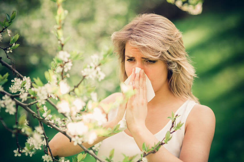 Kalendarz alergika: co pyli w kwietniu?