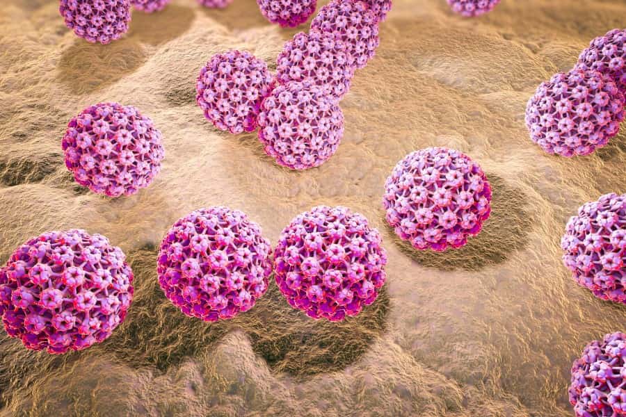 Grafika 3D wirusa HPV wywołującego kłykciny kończyste.