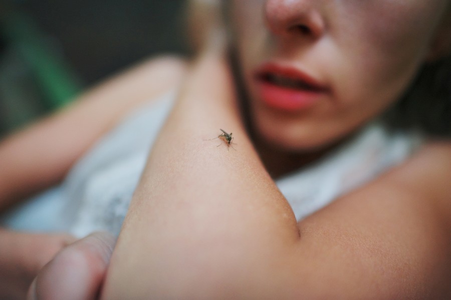 Malaria - co ją wywołuje?