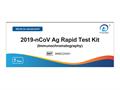 2019-nCoV-2 AG Rapid Test Kit (immunochromatography) interakcje ulotka test  1 szt.