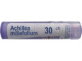 Achillea Millefolium 30 CH interakcje ulotka granulki  4 g