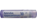 Aesculus Hippocastanum 30 CH interakcje ulotka granulki  4 g