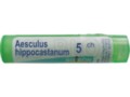 Aesculus Hippocastanum 5 CH interakcje ulotka granulki  4 g