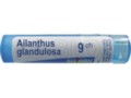 Ailanthus Glandulosa 9 CH interakcje ulotka granulki  4 g
