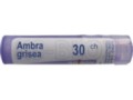 Ambra Grisea 30 CH interakcje ulotka granulki  4 g