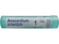 Anacardium Orientale 1 MK interakcje ulotka granulki  4 g