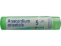 Anacardium Orientale 5 CH interakcje ulotka granulki  4 g