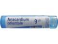 Anacardium Orientale 9 CH interakcje ulotka granulki  4 g