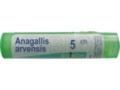 Anagallis Arvensis 5 CH interakcje ulotka granulki  4 g