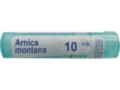 Arnica Montana 10 MK interakcje ulotka granulki  4 g