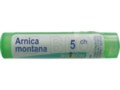 Arnica Montana 5 CH interakcje ulotka granulki  4 g
