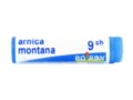 Arnica Montana 9 CH interakcje ulotka granulki w pojemniku jednodawkowym - 1 g