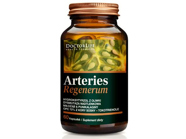 Arteries Regenerum interakcje ulotka kapsułki - 60 kaps.