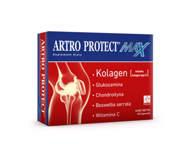 Artro Protect Max interakcje ulotka kapsułki - 60 kaps. (blist.)
