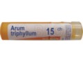 Arum Triphyllum 15 CH interakcje ulotka granulki  4 g