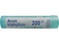 Arum Triphyllum 200 CH interakcje ulotka granulki  4 g