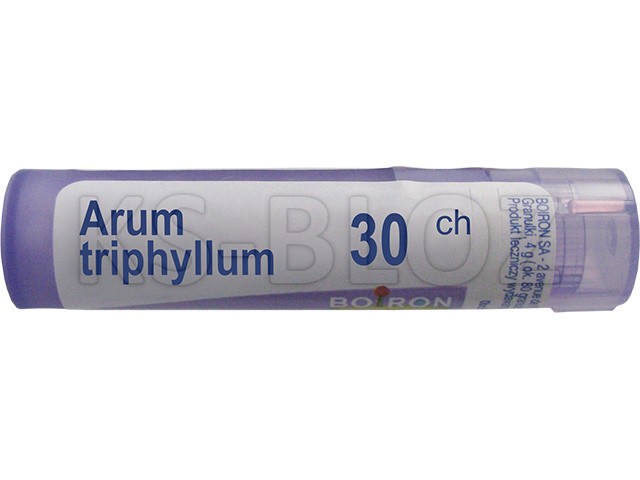 Arum Triphyllum 30 CH interakcje ulotka granulki  4 g