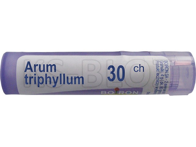 Arum Triphyllum 30 CH interakcje ulotka granulki  4 g