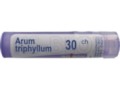 Arum Triphyllum 30 CH interakcje ulotka granulki  4 g