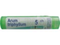 Arum Triphyllum 5 CH interakcje ulotka granulki  4 g