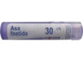 Asa Foetida 30 CH interakcje ulotka granulki  4 g