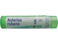 Asterias Rubens 5 CH interakcje ulotka granulki  4 g