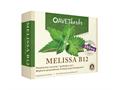 Avet Herbs Melissa B12 interakcje ulotka tabletki  30 tabl.