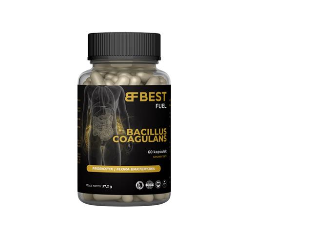 Bacillus Coagulans interakcje ulotka kapsułki miękkie - 60 kaps.