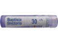 Baptisia Tinctoria 30 CH interakcje ulotka granulki  4 g