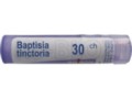 Baptisia Tinctoria 30 CH interakcje ulotka granulki  4 g