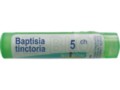 Baptisia Tinctoria 5 CH interakcje ulotka granulki  4 g