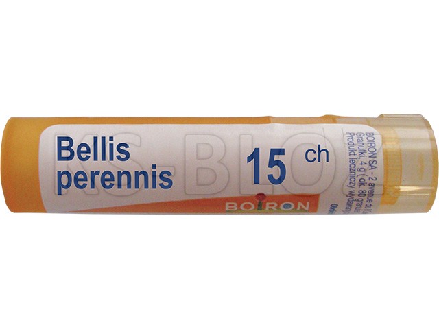 Bellis Perennis 15 CH interakcje ulotka granulki  4 g