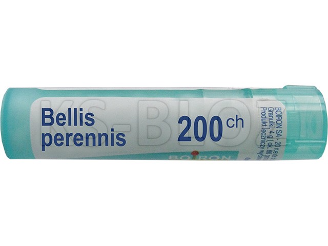 Bellis Perennis 200 CH interakcje ulotka granulki  4 g