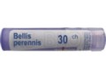 Bellis Perennis 30 CH interakcje ulotka granulki  4 g