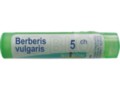 Berberis Vulgaris 5 CH interakcje ulotka granulki  4 g