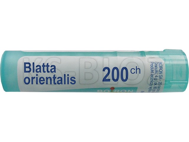 Blatta Orientalis 200 CH interakcje ulotka granulki  4 g