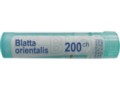 Blatta Orientalis 200 CH interakcje ulotka granulki  4 g